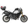 Monster 696 \ 796 \ 1100 (08 - 14)