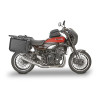 Z 900 RS (18 - 25)