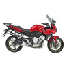 FZ1 1000 Fazer (06 - 15)