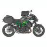 Z 900 (25)